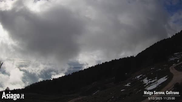 Check /var/www/html/pina and CURL